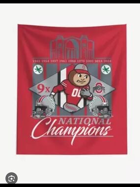 NCAA Ohio State Buckeyes 2024 FBC 9X Champs Wall Hanging HOT TOPIC
